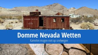 Domme Nevada Wetten: Kamelen mogen niet op snelwegen