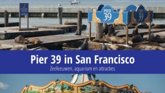 Pier 39 in San Francisco – zeeleeuwen, aquarium, fotos